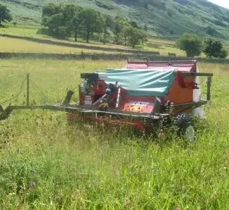 Brush-Harvesting-wildflower-seeds