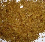 Yellow Rattle (Rhinanthus minor) Seed - Image 4