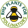 rhs plants for pollinators