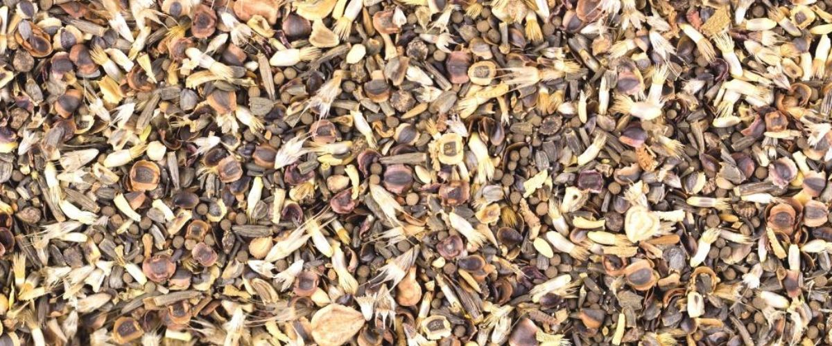 wildflower seeds mix