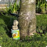 Fat Balls & Feeder from Supa Wild Zone - Image 2