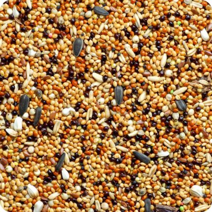 original farm mix spread out with a variety of different types of seeds