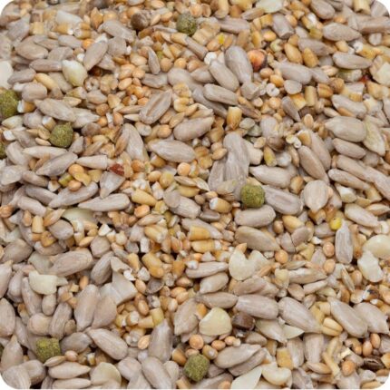 High energy blend a mizture of sunflower hearts and kibbled maize