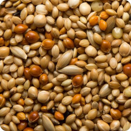 No Mess Wild Bird Seed Mix a mixture of light and dark brown seeds