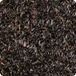 Niger seeds spread out, Black tiny oil rich seeds