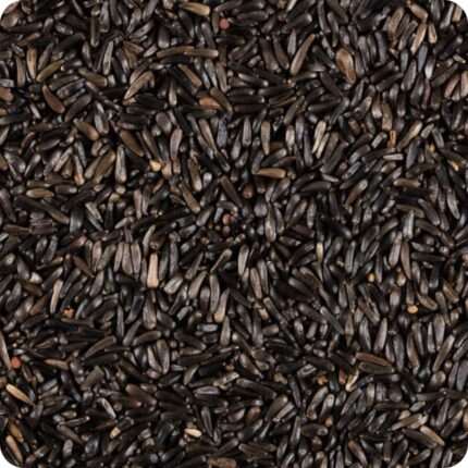 Niger seeds spread out, Black tiny oil rich seeds