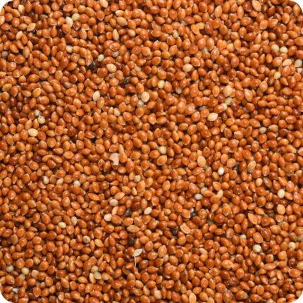 Red millet seed spread out. Orange small balls used to feed birds